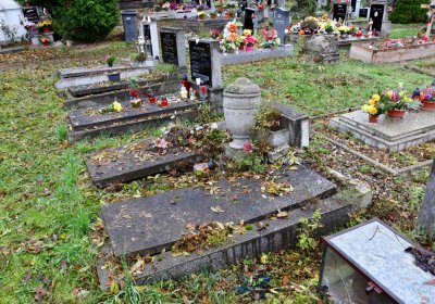 Novosedlice, Omnium, 2020