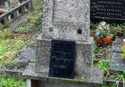 Novosedlice, Omnium, 2020