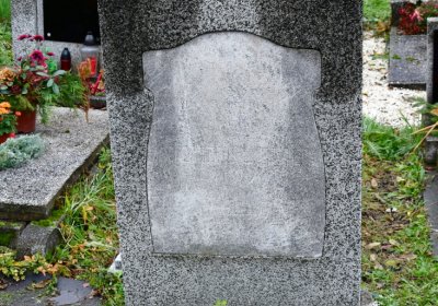 Novosedlice, Omnium, 2020