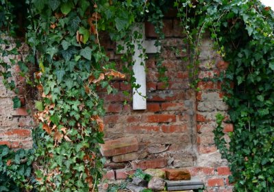 Novosedlice, Omnium, 2020