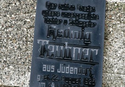 Novosedlice, Omnium, 2020