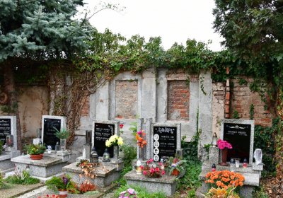 Novosedlice, Omnium, 2020