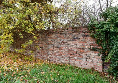 Novosedlice, Omnium, 2020