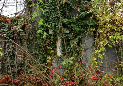 Novosedlice, Omnium, 2020