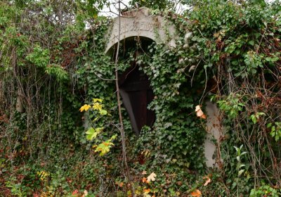 Novosedlice, Omnium, 2020