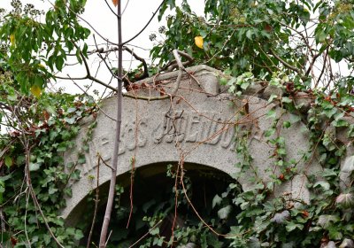 Novosedlice, Omnium, 2020