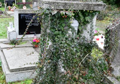 Novosedlice, Omnium, 2020