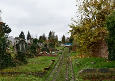 Novosedlice, Omnium, 2020