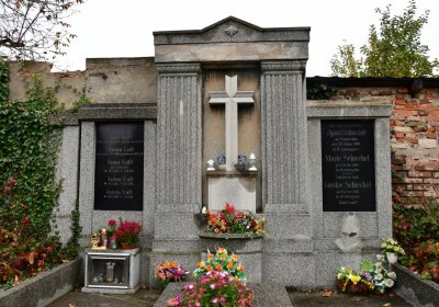 Novosedlice, Omnium, 2020