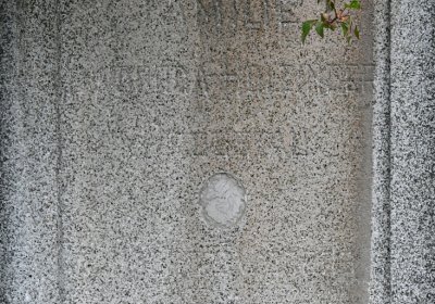 Novosedlice, Omnium, 2020