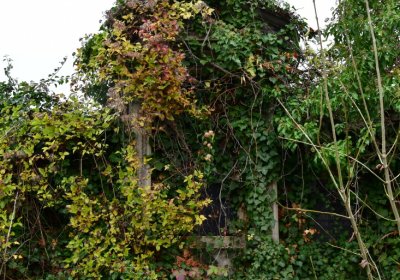 Novosedlice, Omnium, 2020