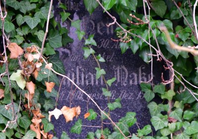 Novosedlice, Omnium, 2020