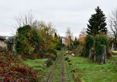 Novosedlice, Omnium, 2020