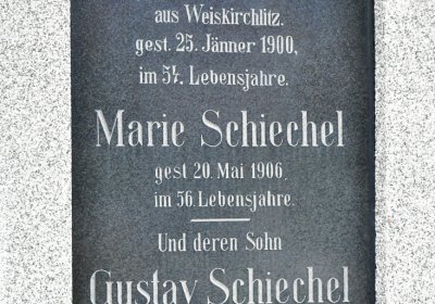 Novosedlice, Omnium, 2020