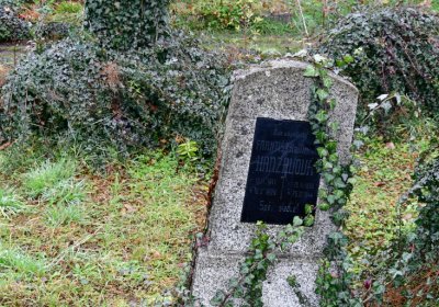 Novosedlice, Omnium, 2020