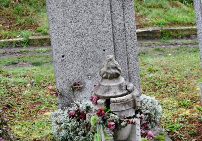 Novosedlice, Omnium, 2020