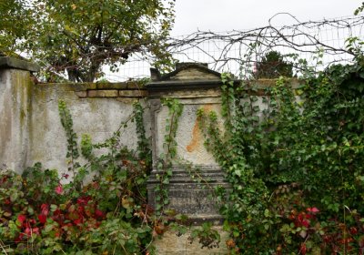 Novosedlice, Omnium, 2020