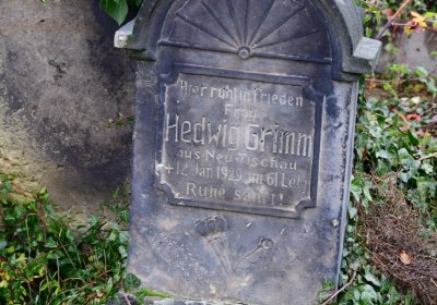 Novosedlice, Omnium, 2020