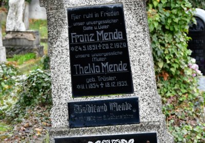 Novosedlice, Omnium, 2020