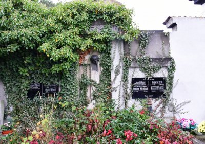 Novosedlice, Omnium, 2020