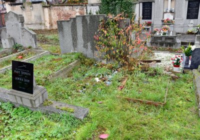 Novosedlice, Omnium, 2020