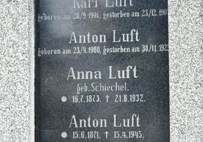 Novosedlice, Omnium, 2020