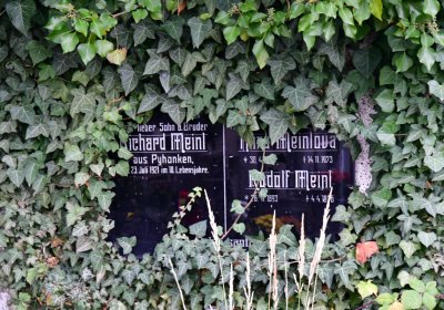 Novosedlice, Omnium, 2020