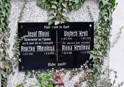 Novosedlice, Omnium, 2020