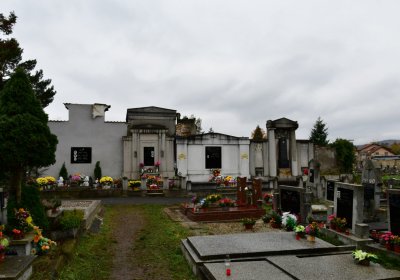 Novosedlice, Omnium, 2020