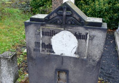 Novosedlice, Omnium, 2020