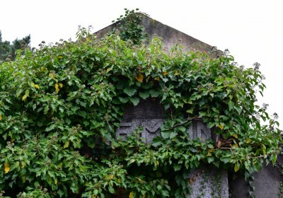 Novosedlice, Omnium, 2020