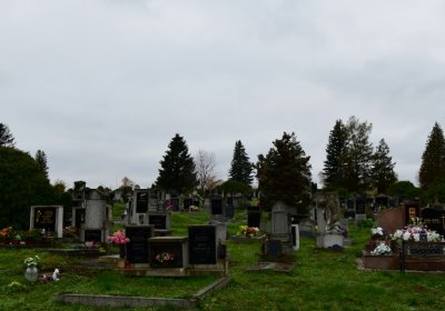 Novosedlice, Omnium, 2020