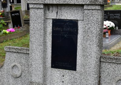 Novosedlice, Omnium, 2020