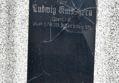 Novosedlice, Omnium, 2020