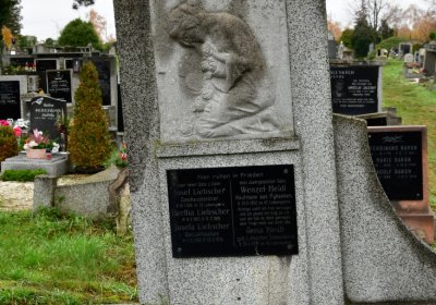 Novosedlice, Omnium, 2020