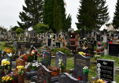 Novosedlice, Omnium, 2020