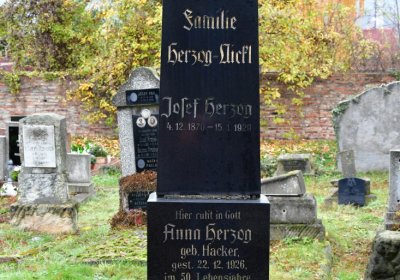 Novosedlice, Omnium, 2020