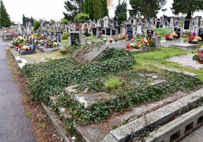 Novosedlice, Omnium, 2020