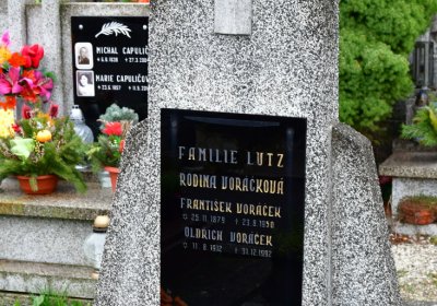 Novosedlice, Omnium, 2020