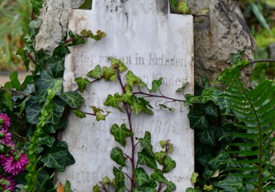 Novosedlice, Omnium, 2020