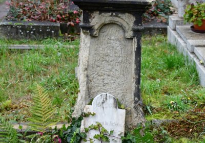 Novosedlice, Omnium, 2020