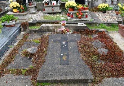 Novosedlice, Omnium, 2020