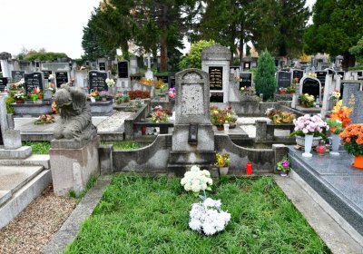 Novosedlice, Omnium, 2020