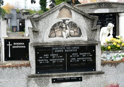 Novosedlice, Omnium, 2020