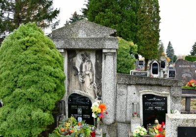 Novosedlice, Omnium, 2020