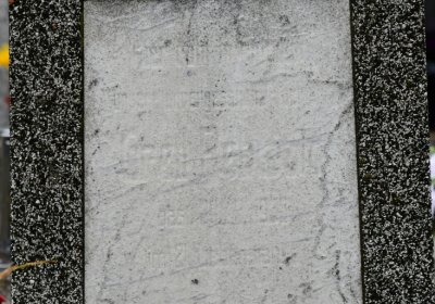 Novosedlice, Omnium, 2020