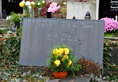 Novosedlice, Omnium, 2020