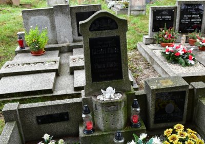 Novosedlice, Omnium, 2020