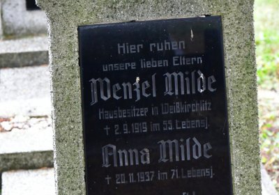 Novosedlice, Omnium, 2020