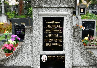 Novosedlice, Omnium, 2020